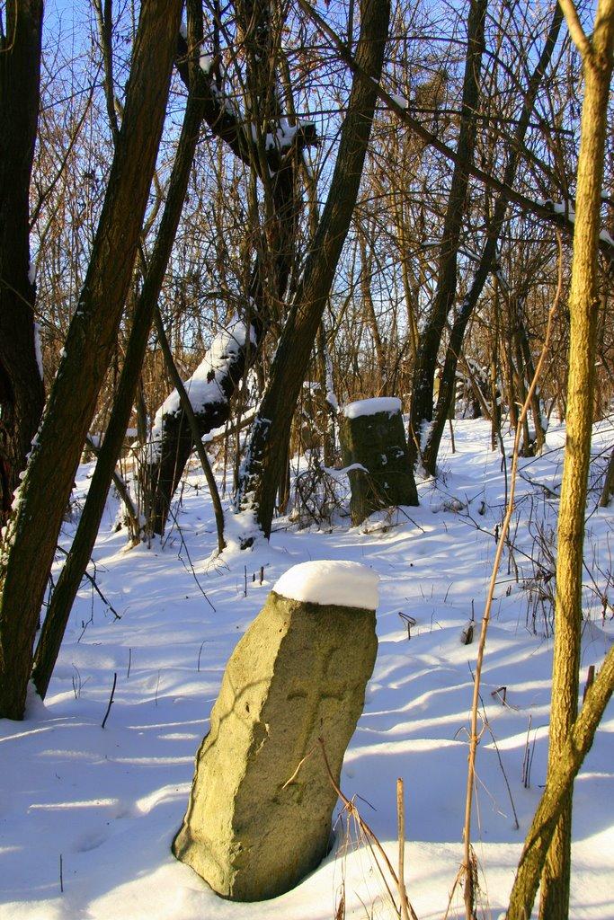 Малий Букрин з panoramio.com - Malyy Bukryn