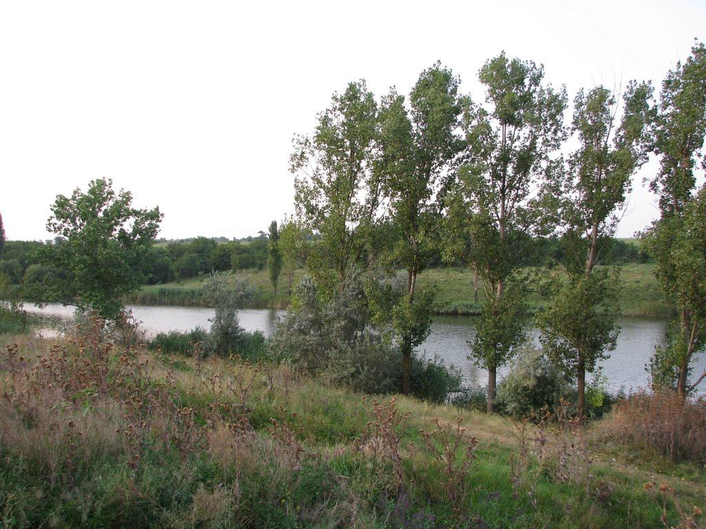 Олександрівка з panoramio.com - Александровка