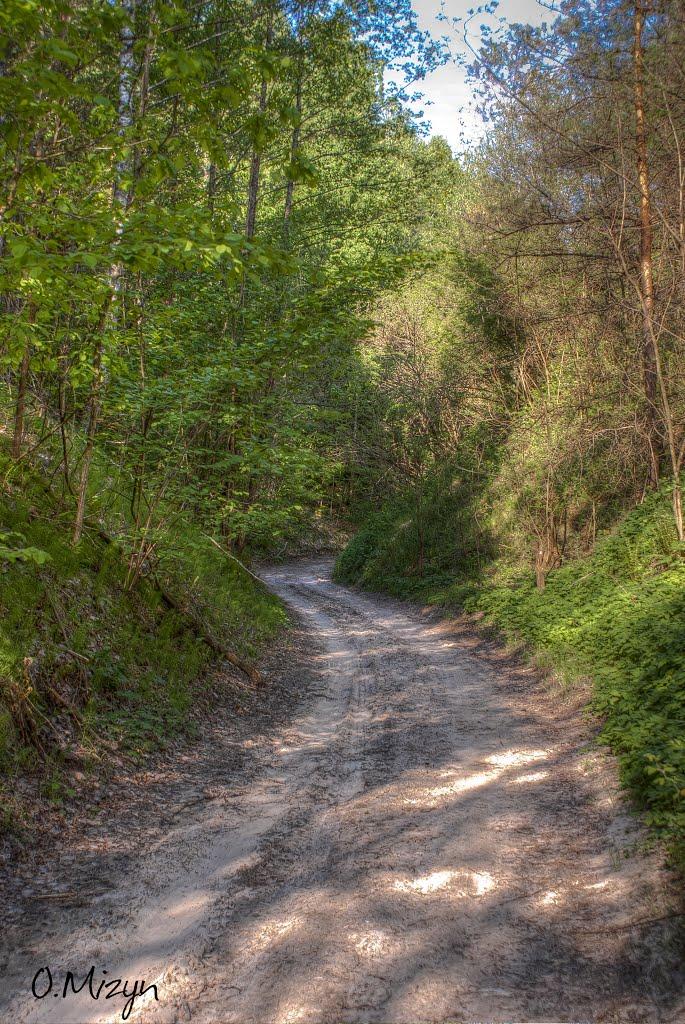Любеч з panoramio.com - Lyubech