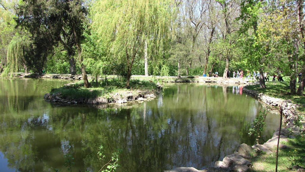 Асканія-Нова з panoramio.com - Askaniya-Nova
