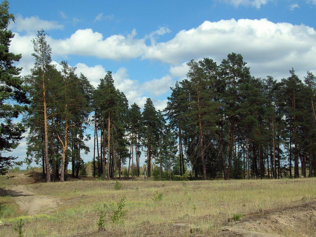 Щурове з panoramio.com - Schurove