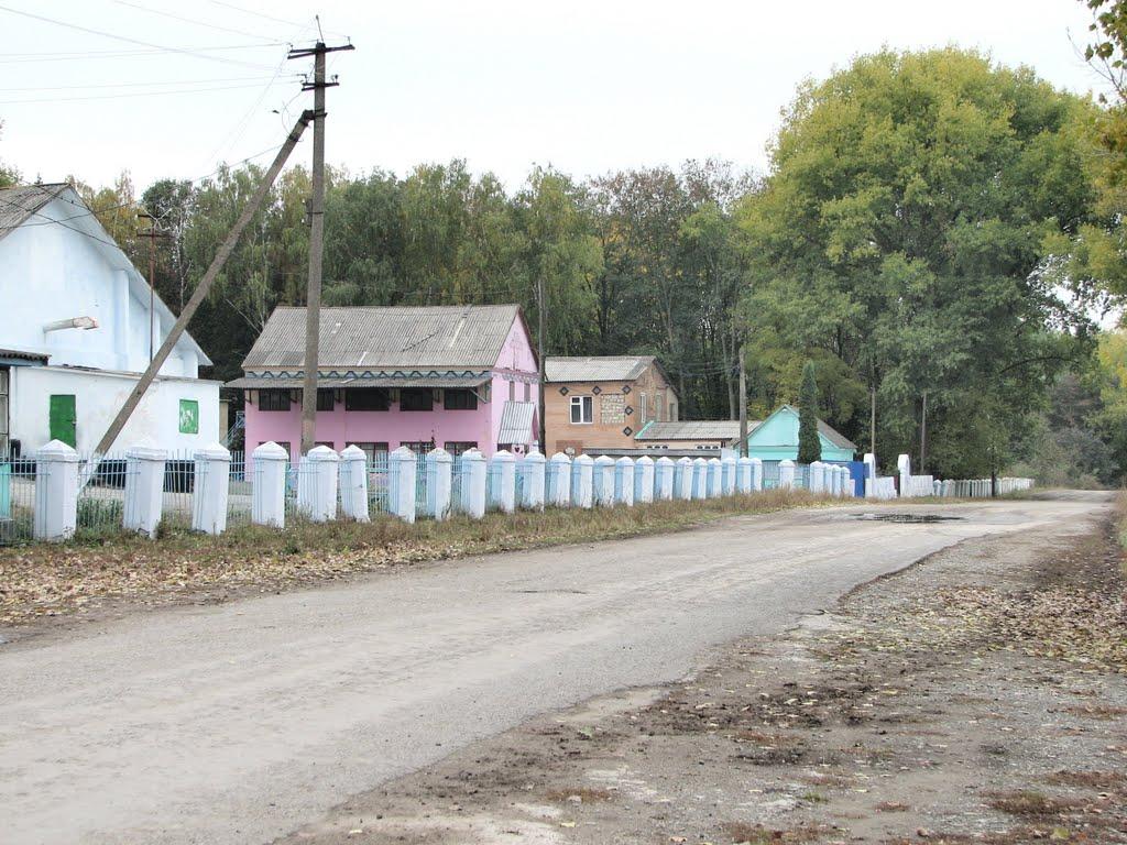 Панівці з panoramio.com - Пановцы