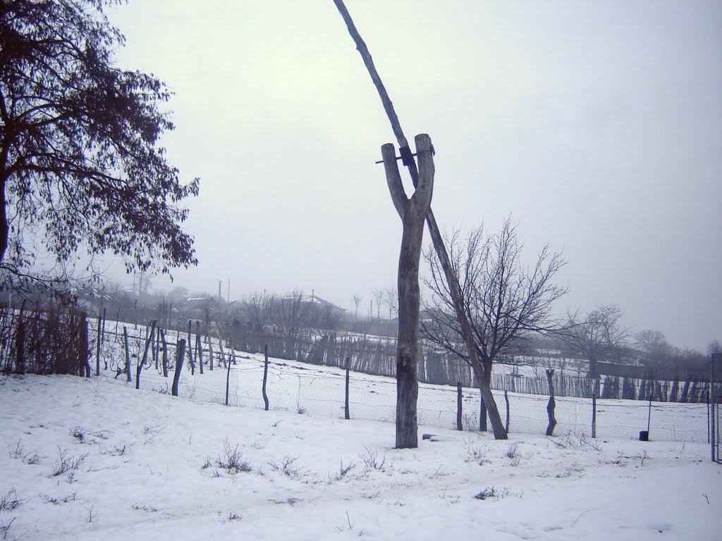 Орлівка з panoramio.com - Orlivka
