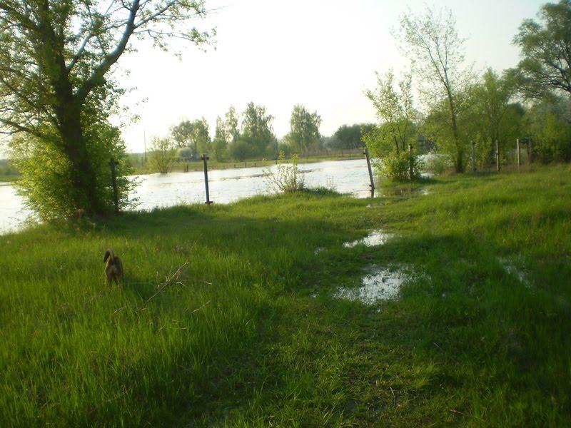 Радуль з panoramio.com - Radul