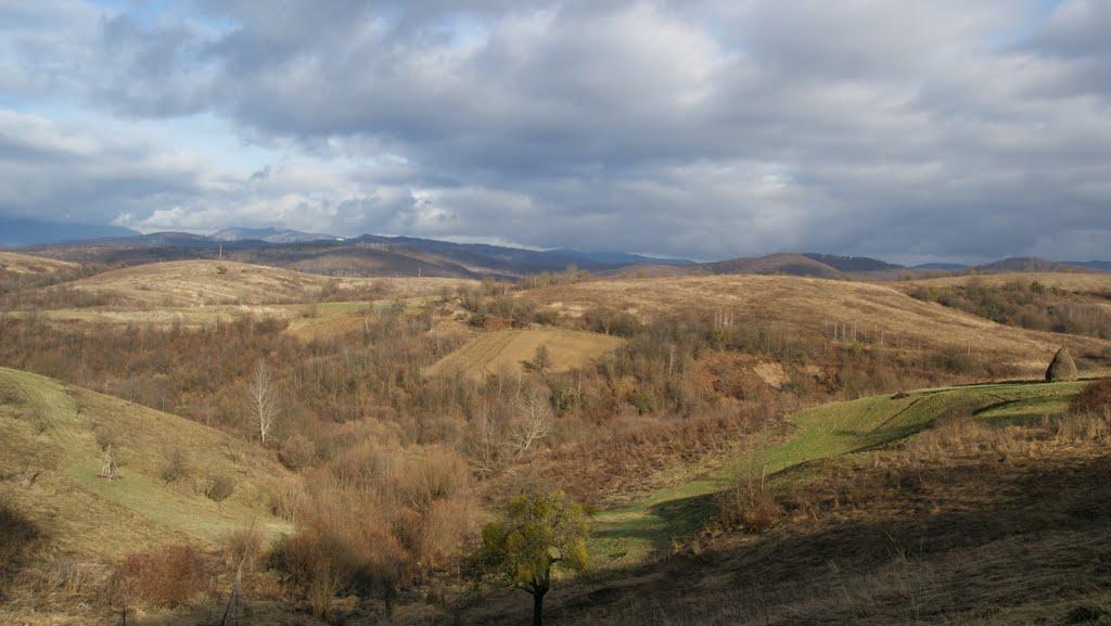 Тур'я Бистра з panoramio.com - Тур'я Бистра