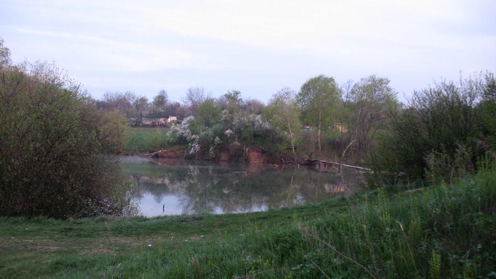 Заїченці з panoramio.com - Заїченці