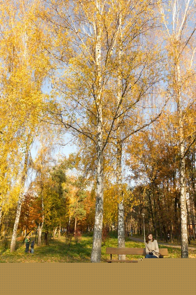 Немирів з panoramio.com - Немирів