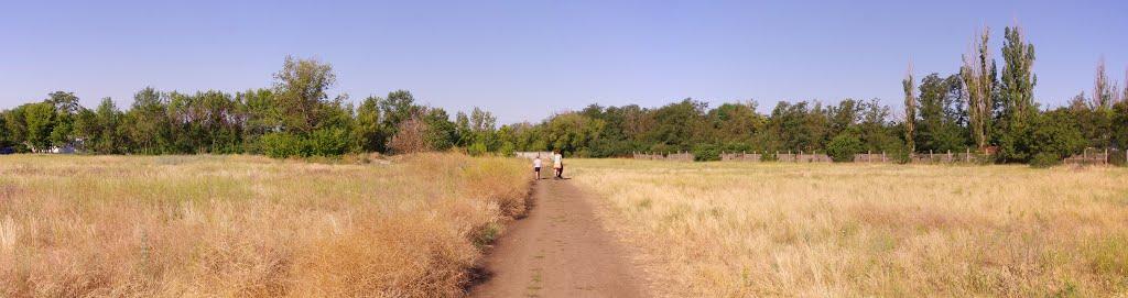 Луначарське з panoramio.com