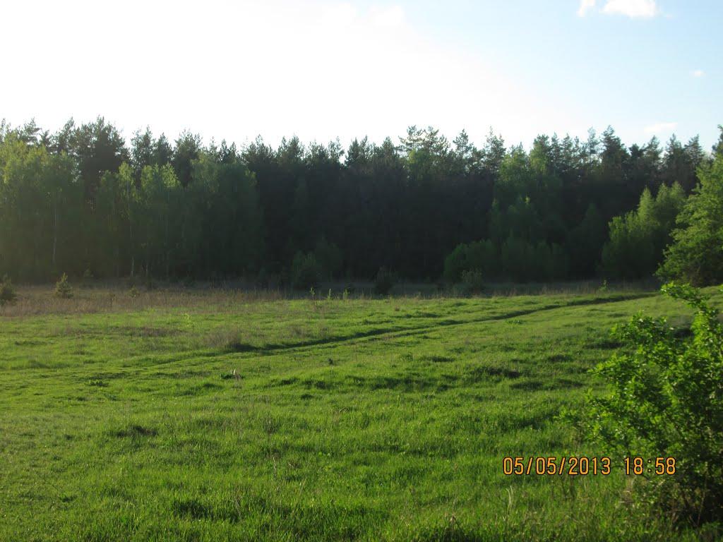 Чорноплатове з panoramio.com - Чорноплатове