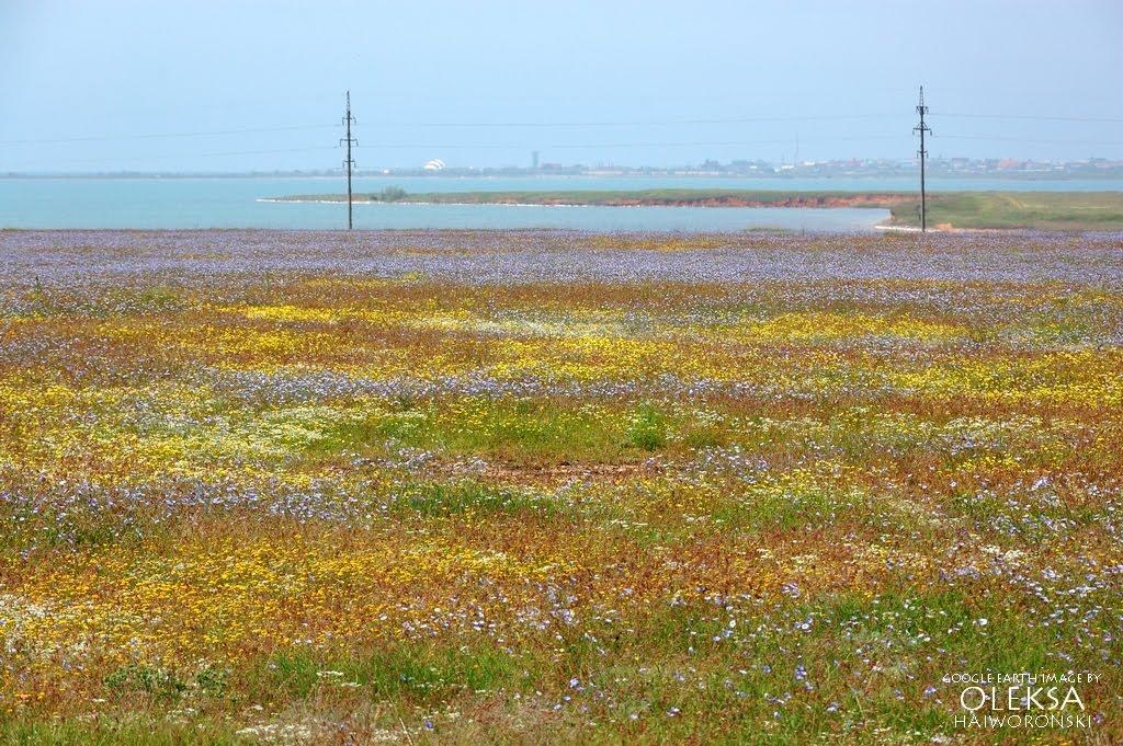 Штормове з panoramio.com - Штормове