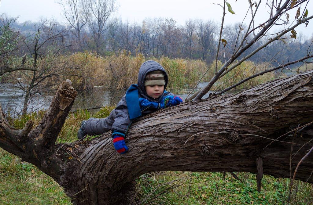 Вільне з panoramio.com - Вольное