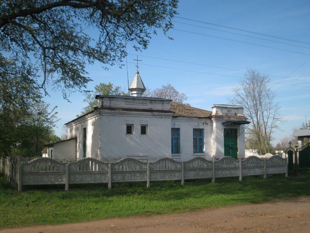 Дубовий Гай з panoramio.com - Дубовый Гай