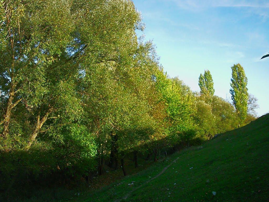 Трудове з panoramio.com - Trudove