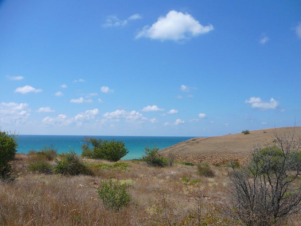 Любимівка з panoramio.com - Любимовка