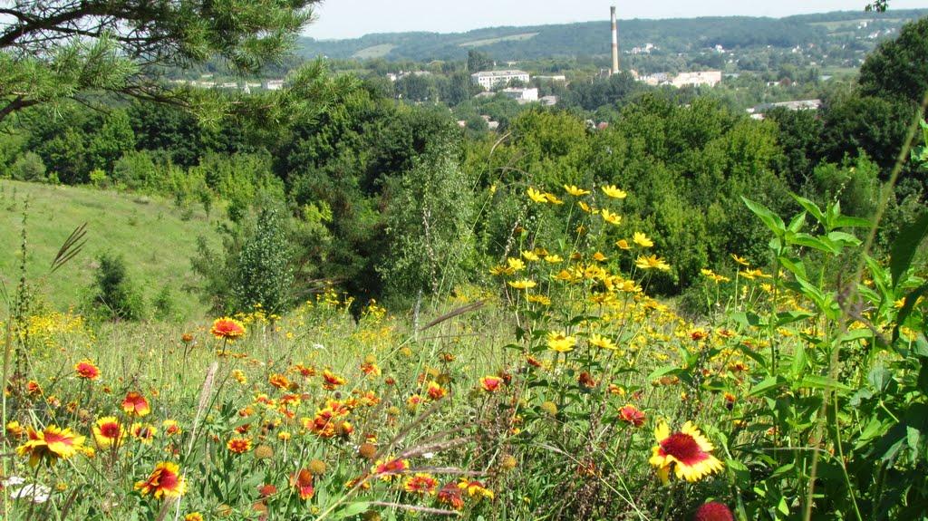 Григорівка з panoramio.com - Григорівка