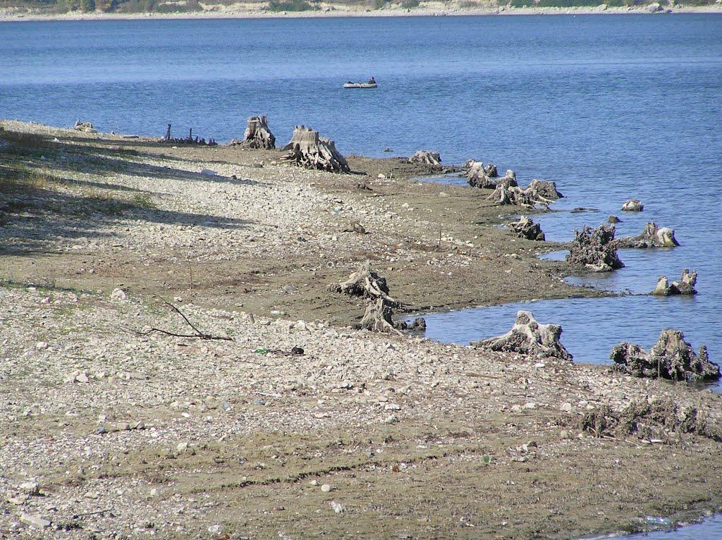 Ломачинці з panoramio.com - Lomachyntsi