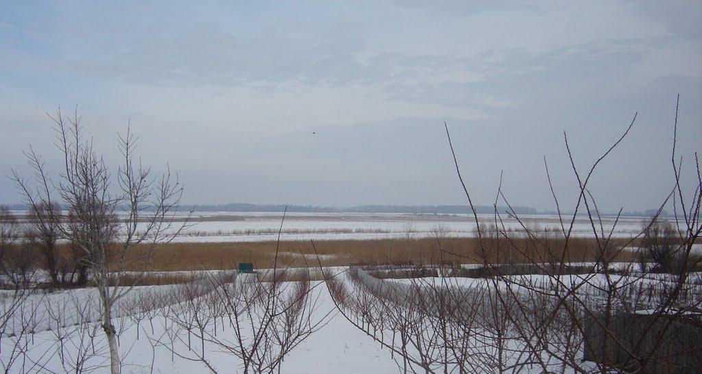Орлівка з panoramio.com - Orlivka