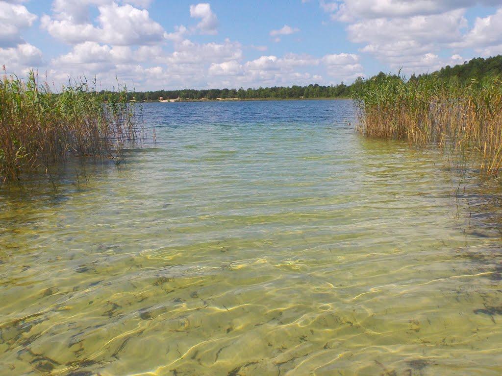 Млин з panoramio.com - Млын