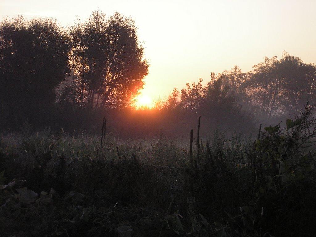 Квітневе з panoramio.com - Квітневе