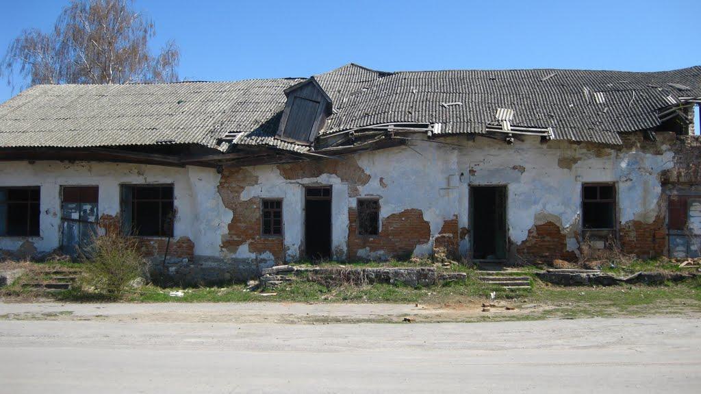 Ворошилівка з panoramio.com - Ворошиловка