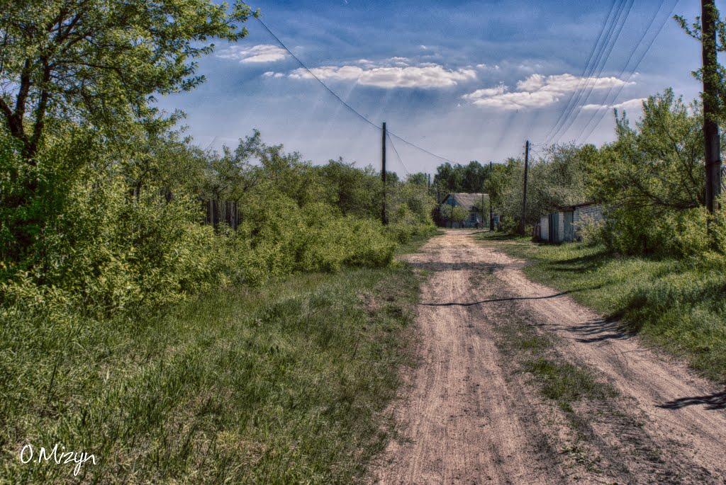 Любеч з panoramio.com - Любеч