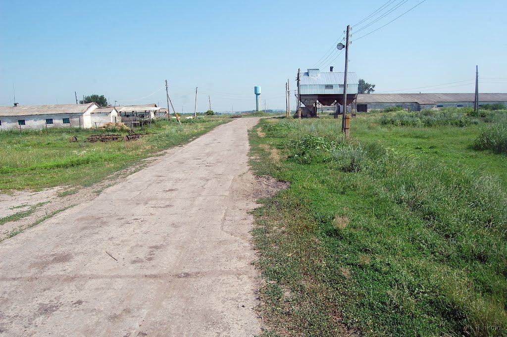 Нова Астрахань з panoramio.com - Нова Астрахань