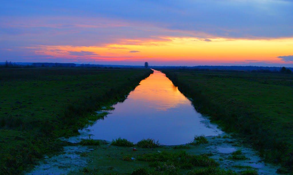 Зелене з panoramio.com - Зелене