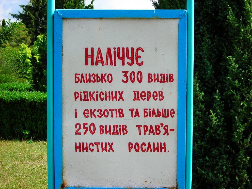 Васютинці з panoramio.com - Васютинці