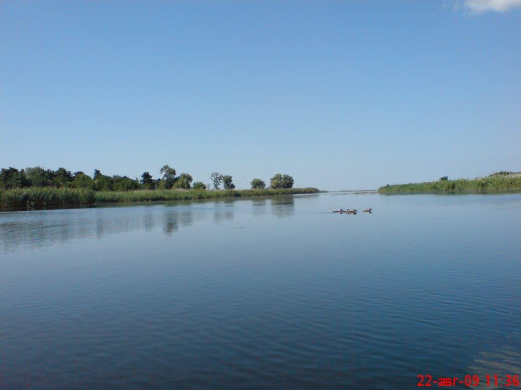 Стара Збур'ївка з panoramio.com - Стара Збур'ївка