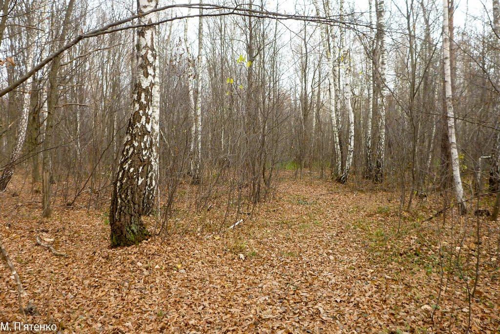 Чудля з panoramio.com - Чудля