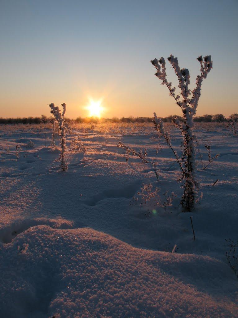 Пашківка з panoramio.com - Пашківка