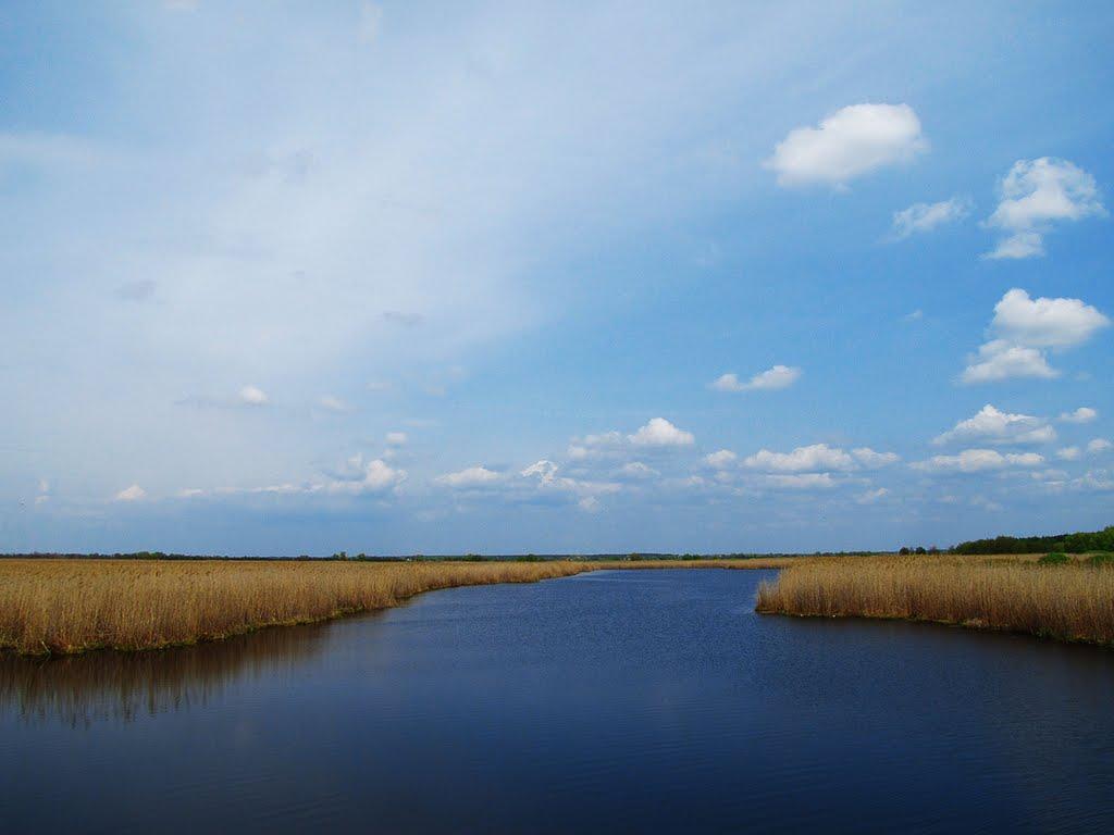 Веселий Поділ з panoramio.com - Веселий Поділ