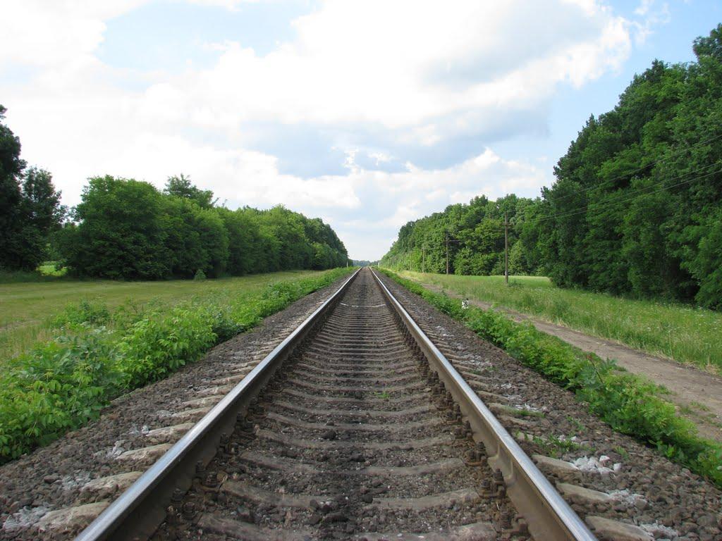 Ладижинські Хутори з panoramio.com - Ладижинські Хутори