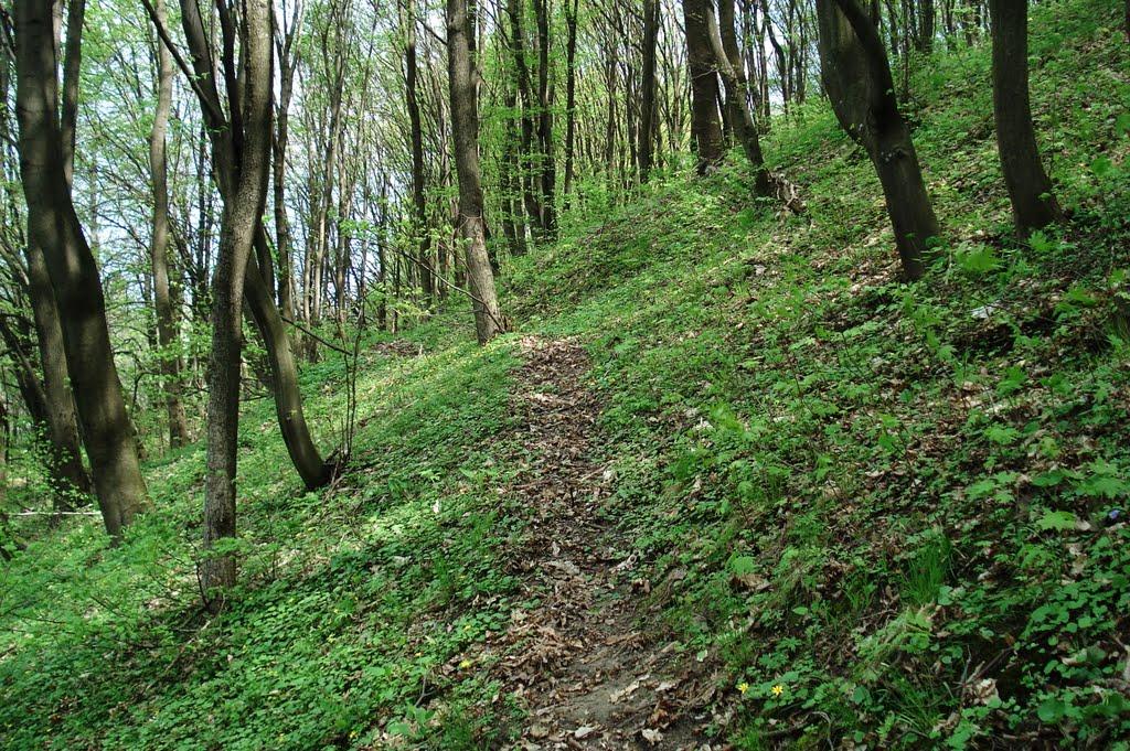 Любеч з panoramio.com - Lyubech