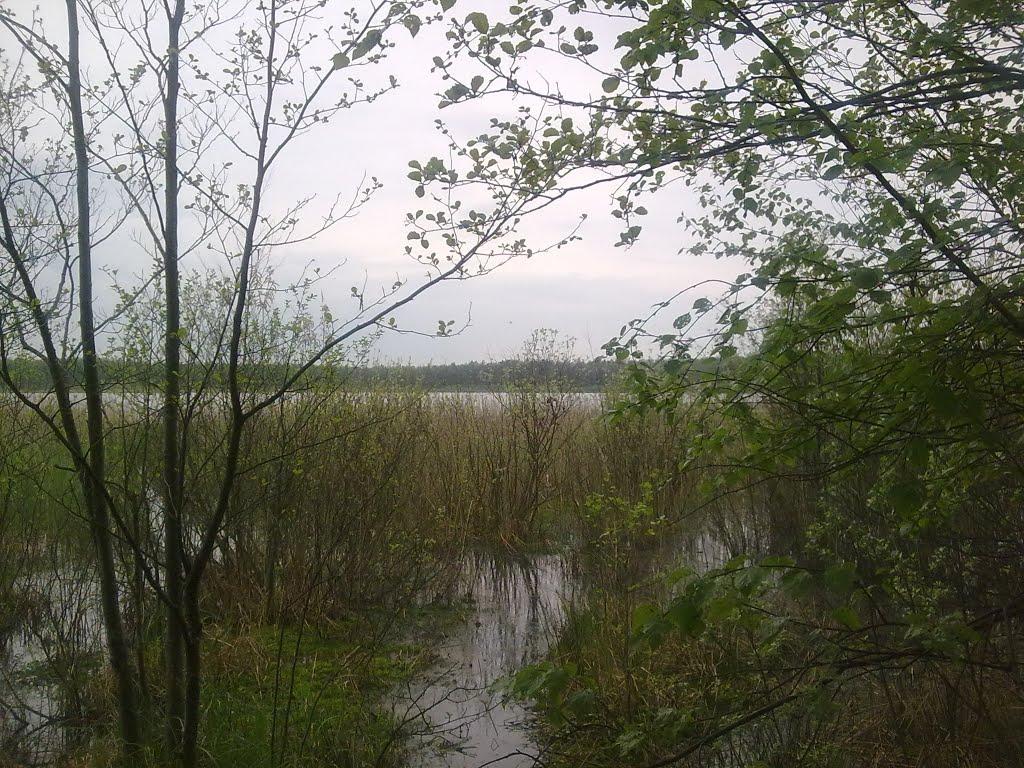 Затишшя з panoramio.com - Затишшя