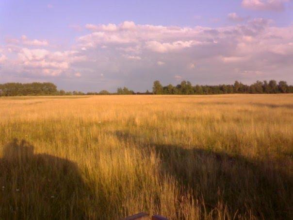 Велике Колодно з panoramio.com - Велике Колодно