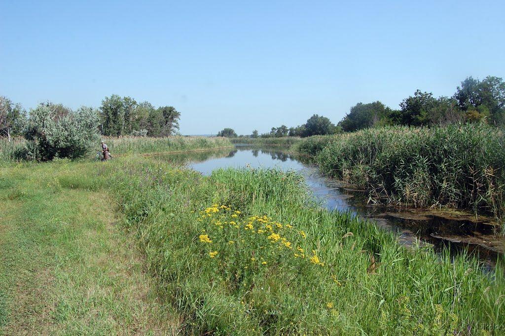 Нова Астрахань з panoramio.com - Нова Астрахань