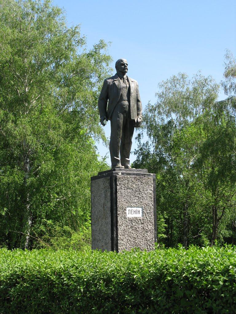 Великі Сорочинці з panoramio.com - Великие Сорочинцы