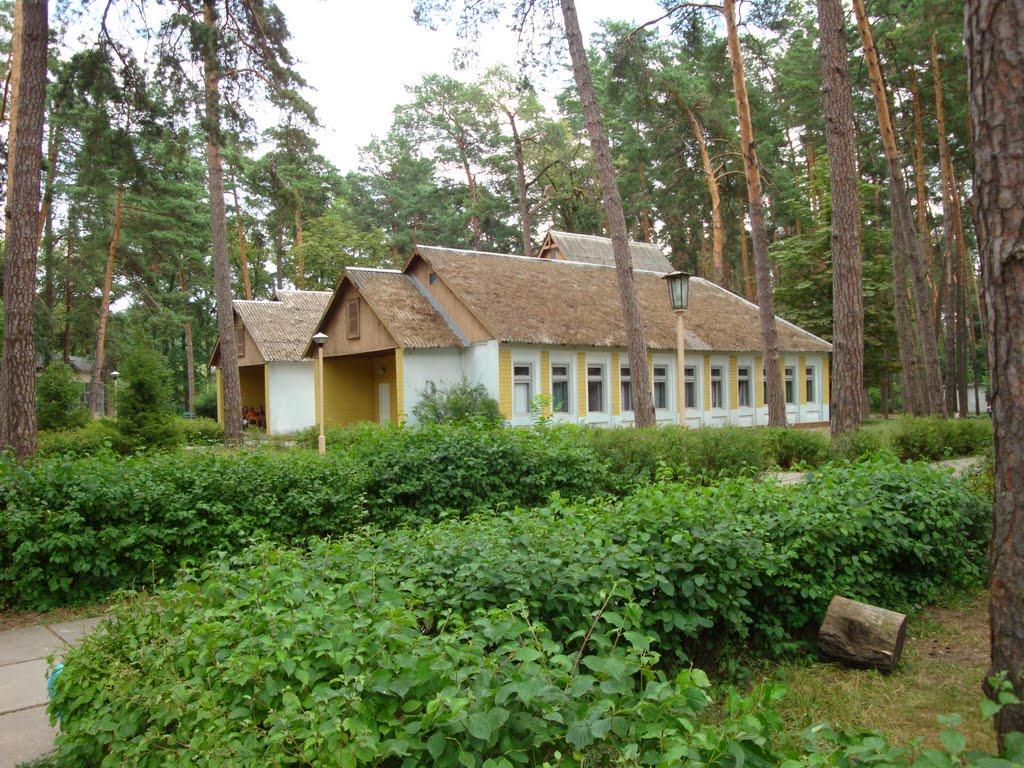 Ворзель з panoramio.com - Ворзель
