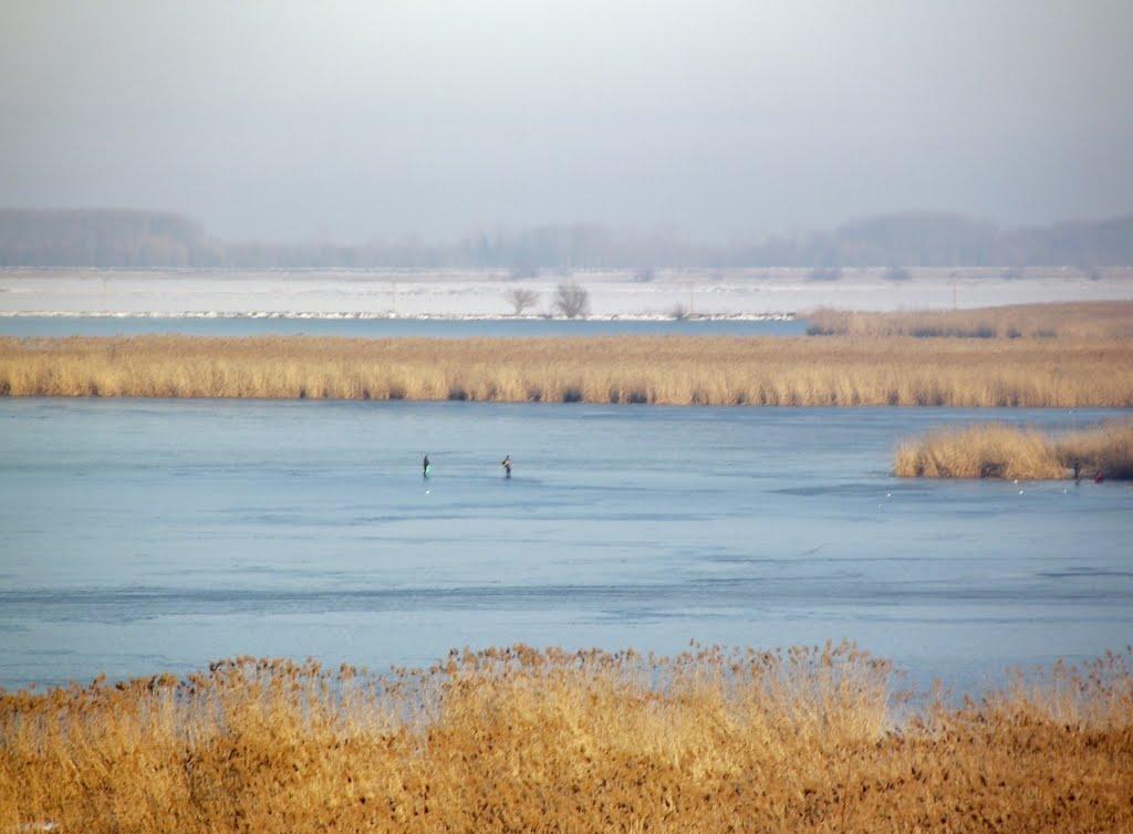 Орлівка з panoramio.com - Orlivka