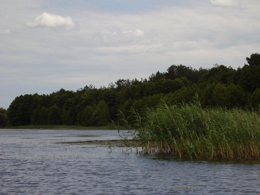 Іванівка з panoramio.com - Іванівка
