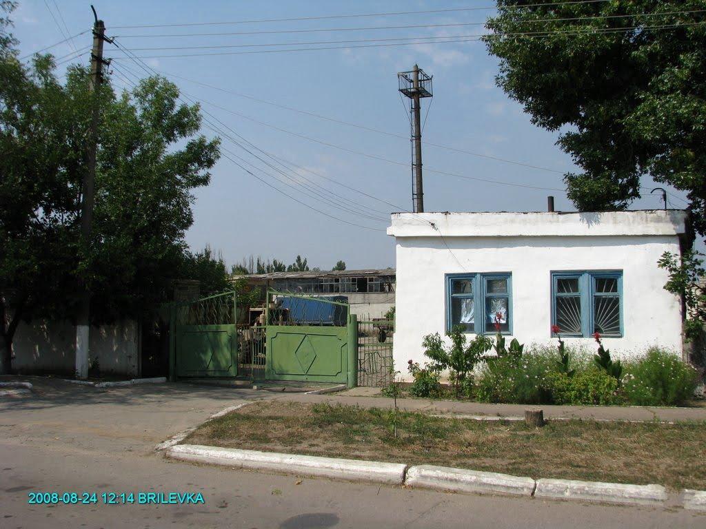 Брилівка з panoramio.com - Брилівка