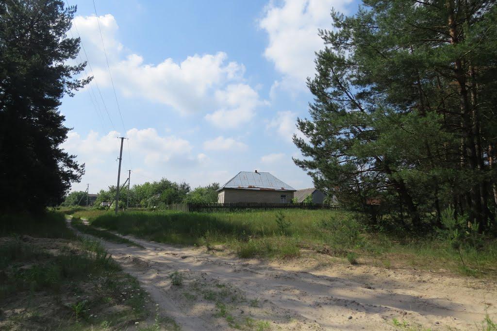 Софіївка з panoramio.com - Софиевка
