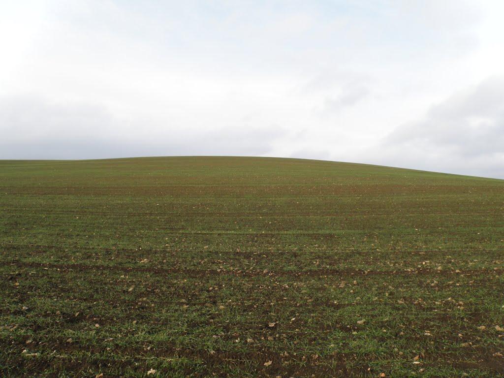 П'ятихатка з panoramio.com - П'ятихатка