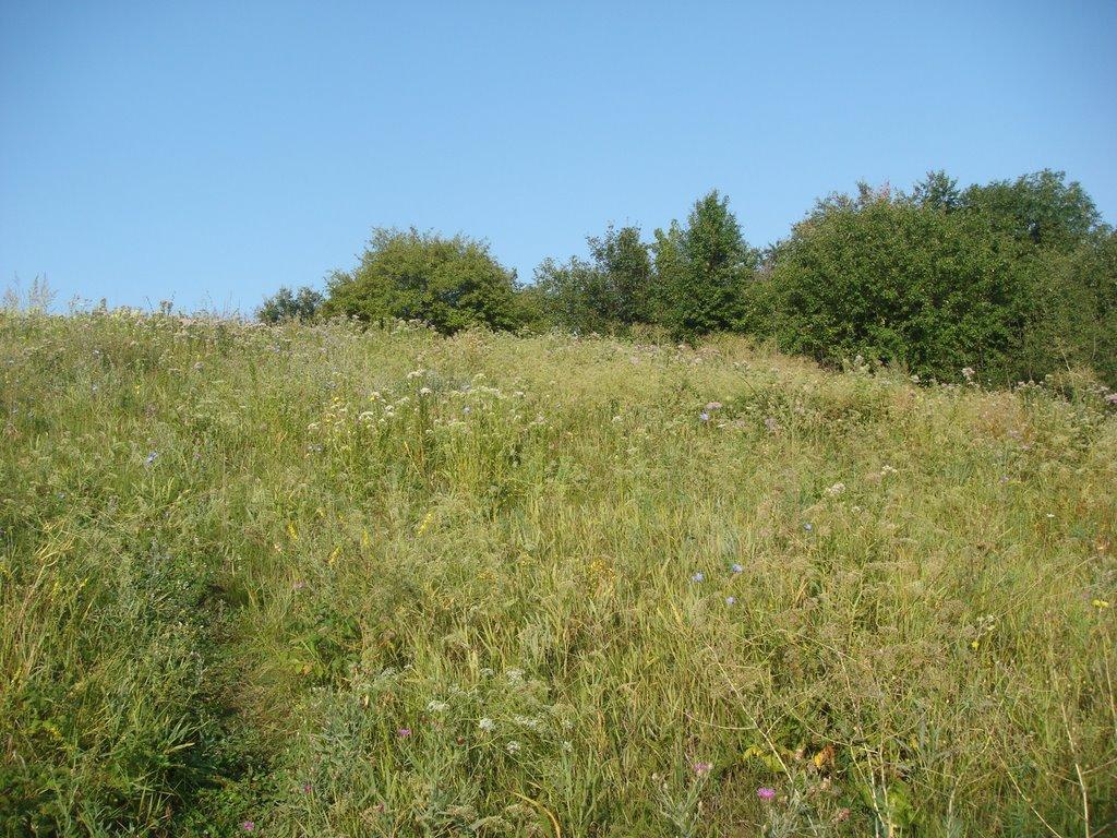 Степний Яр з panoramio.com - Степний Яр