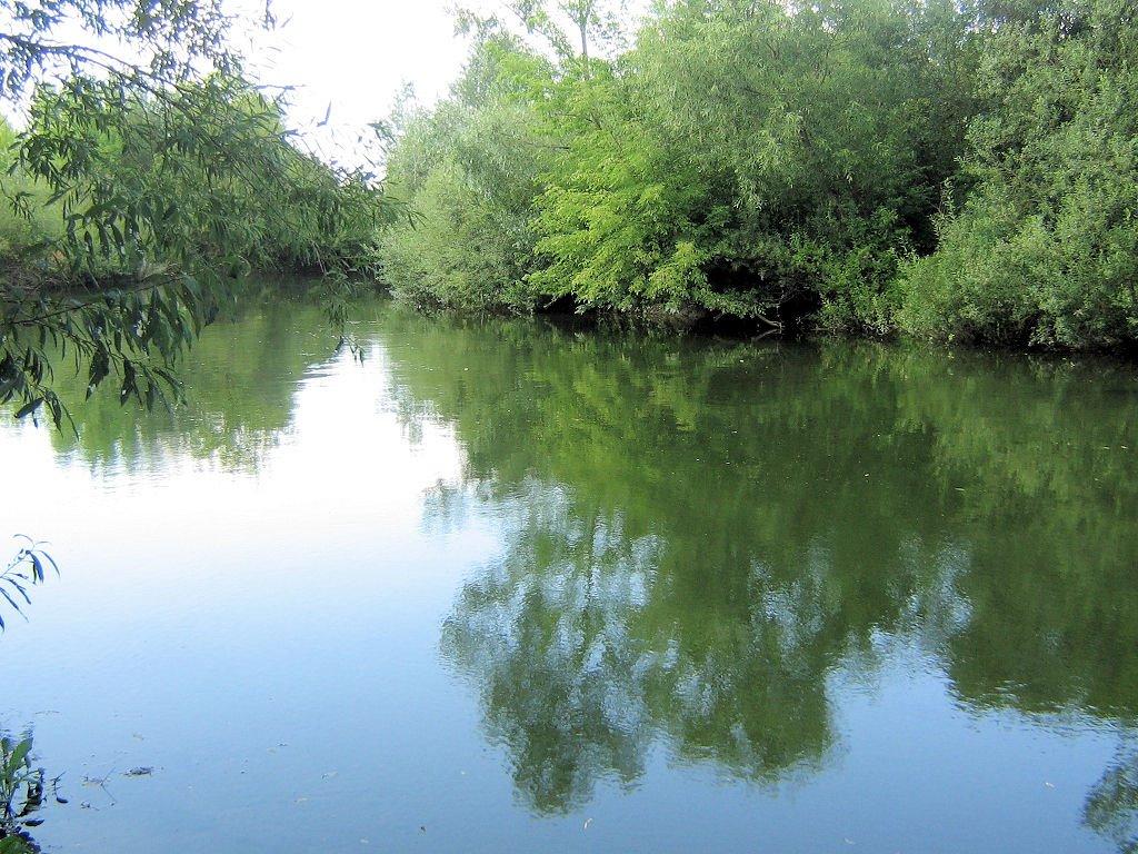 Шубків з panoramio.com