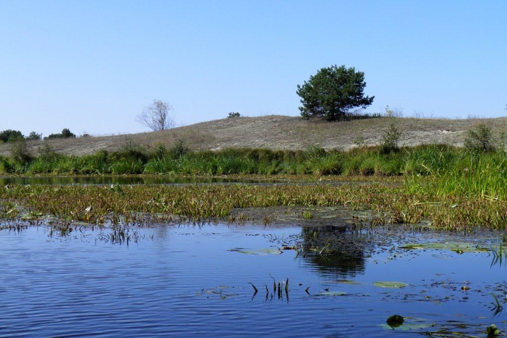 Млин з panoramio.com - Млын