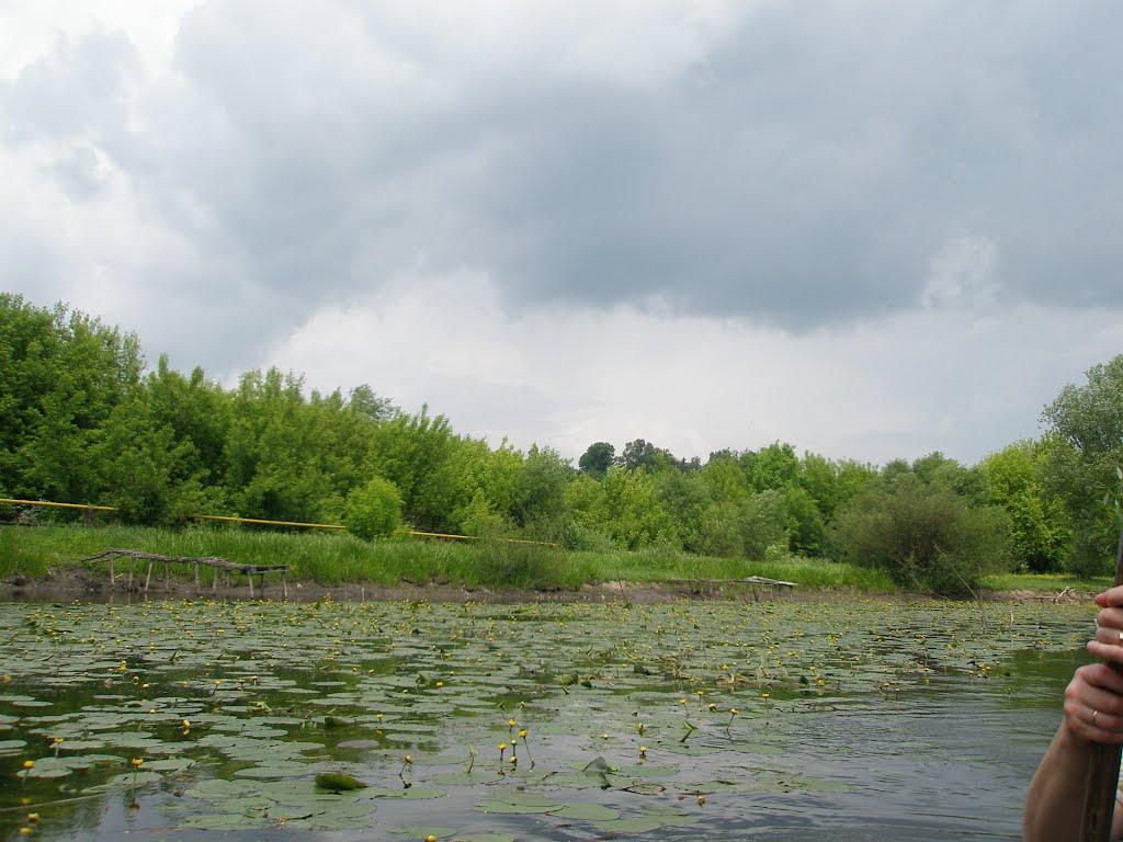 Мартинівка з panoramio.com - Мартинівка