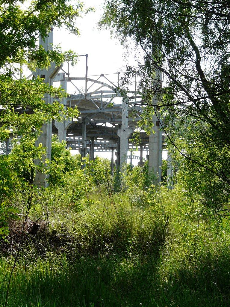 Вітове з panoramio.com - Витово