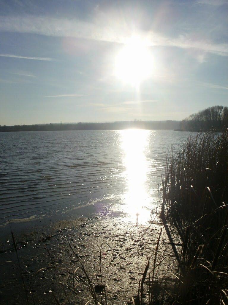 Княжа Криниця з panoramio.com - Княжа Криниця